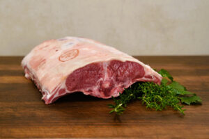 Zadel – Lams Nederlands